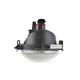 Fog Light Assembly Right <br>14-15 Mini Cooper