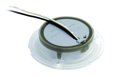 COURTESY Lamp RND BLUE MD12 SS RIM 2XT <br> Universal