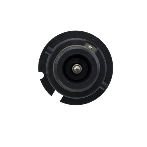 D2S 35W High Intensity Discharge Capsule <br> Universal