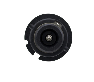 D2S 35W High Intensity Discharge Capsule <br> Universal