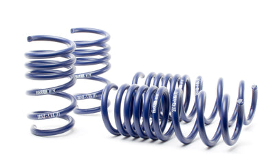 Sport Spring (w/o Adaptive Susp.) <br>17-22 Audi R8 Coupe V10/R8 Coupe V10 Performance (AWD/RWD) 4S