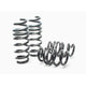 Sport Spring <br>08-15 Audi R8/R8 Cabrio V8/V10