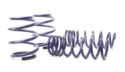 Sport Spring <br>07-10 BMW M6 Cabrio E64