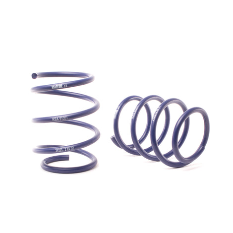 Sport Spring (w/Self Leveling) <br>04-06 BMW 545i E60