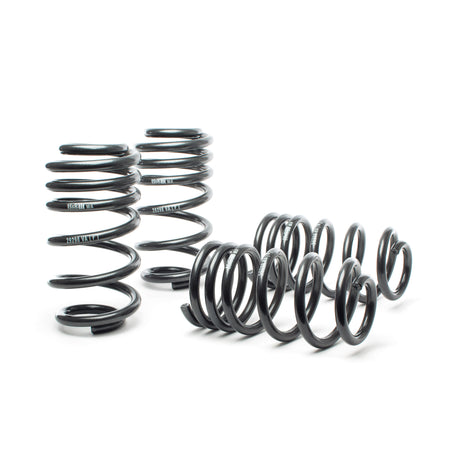 Sport Spring <br>03-04 Audi RS6/RS6 Avant (AWD)