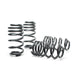 Sport Spring <br>03-04 Audi RS6/RS6 Avant (AWD)