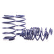 Sport Spring <br>00-06 BMW X5 E53
