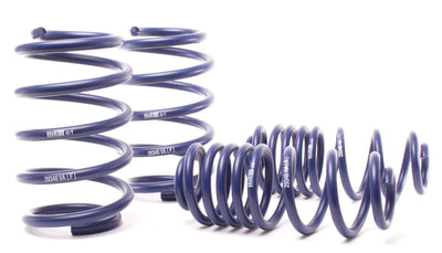 Sport Spring <br>00-06 BMW X5 E53