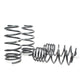 Sport Spring <br>98-10 Volkswagen Beetle TDI
