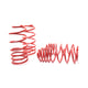 Race Spring <br>98-05 Volkswagen Golf/Jetta VR6/TDI/1.8T/2.0L MK4