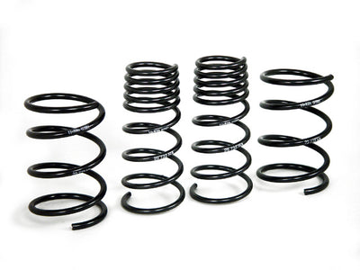 Sport Spring <br>96-00 Hyundai Elantra JC-2
