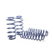 Sport Spring <br>98-01 Audi A4 Avant (2WD) B5