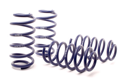 Sport Spring (Non W8) <br>01-05 Volkswagen Passat 4Motion Sedan/Wagon