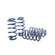 Race Spring <br>98-04 Audi A6 Quattro (AWD) 4B