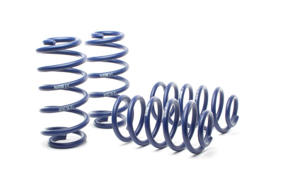 Race Spring <br>98-04 Audi A6 Quattro (AWD) 4B