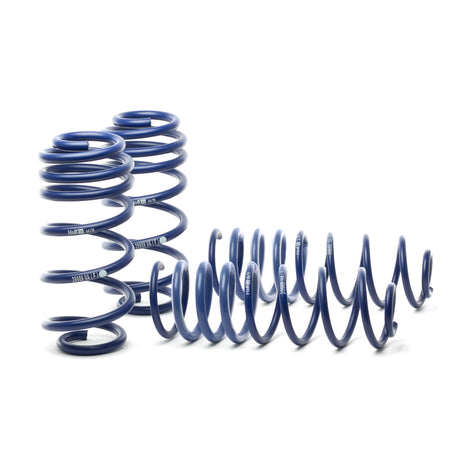 Sport Spring <br>96-01 Audi A4 V6 (2WD) B5