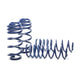 Sport Spring <br>96-01 Audi A4 V6 (2WD) B5