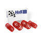 Race Spring <br>96-01 Audi A4 Quattro (AWD) B5