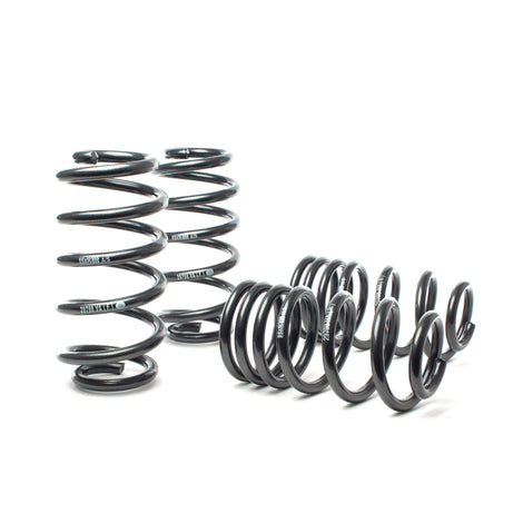 Sport Spring <br>02-03 Audi S6 Avant (AWD)