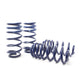 Super Sport Spring <br>18-21 Audi Q5 Premium/Q5 Premium Plus/Q5 Prestige (AWD) FY