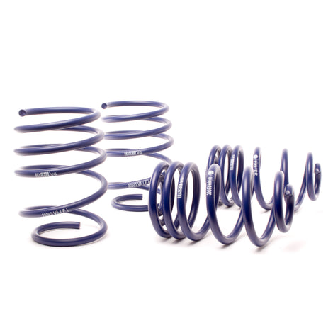 Sport Spring <br>01-05 BMW 325Xi Sport Wagon E46