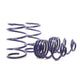 Sport Spring <br>04-10 BMW X3 E83