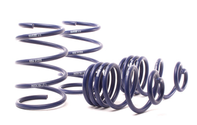 Sport Spring <br>04-10 BMW X3 E83