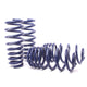 Sport Spring (w/o Self-Leveling/Incl. Diesel) <br>07-13 BMW X5 E70