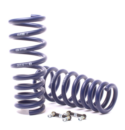 Sport Spring (w/Self-Leveling/Incl. Diesel) <br>07-13 BMW X5 E70
