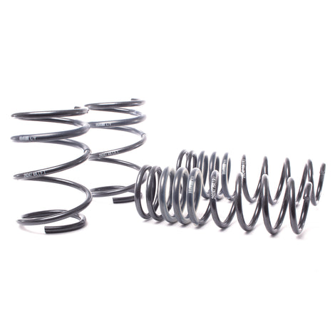 Race Spring (w/o Self Leveling) <br>04-06 BMW 525i/530i/545i E60
