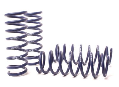 Sport Spring <br>11-16 BMW 550i F10