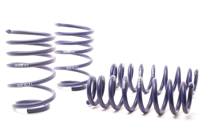 Race Spring <br>07-11 BMW 328i Sedan/335i Sedan E90