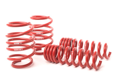 Race Spring <br>08-13 BMW M3 Coupe/M3 Sedan E92