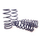 Sport Spring <br>04-11 Chevrolet Aveo