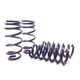 Sport Spring <br>11-14 Dodge Charger RT (2WD) RT MAX V8