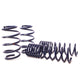 Sport Spring <br>14-19 Ford Escape (2WD/4WD) 4 Cyl/V6