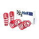 Race Spring <br>05-09 Ford Mustang/Convertible/GT/Shelby GT/Shelby GT-H V6/V8