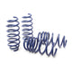 Sport Spring (Non Air Susp.) <br>17-19 Tesla Model 3 Long Range (RWD)