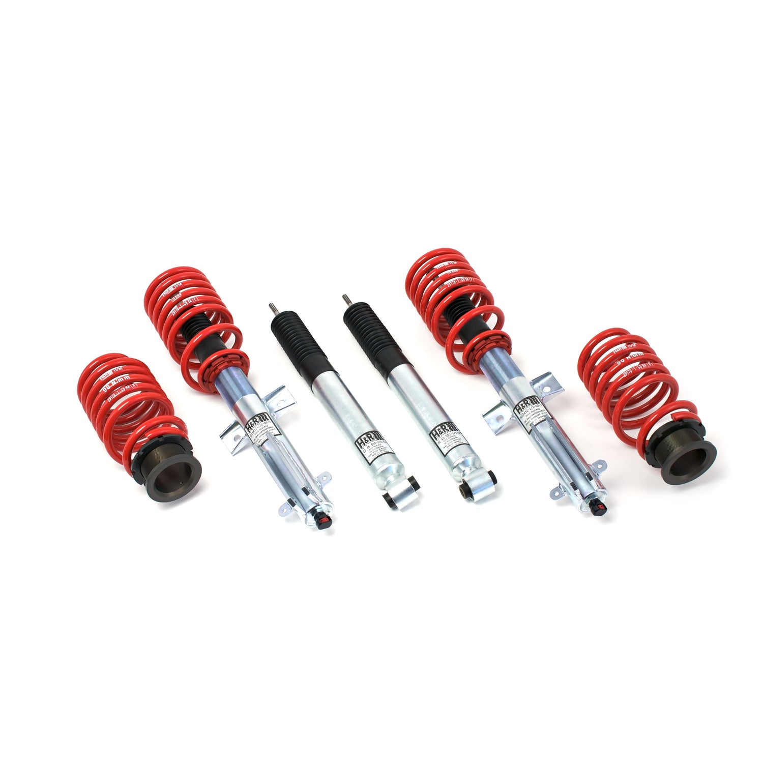RSS Coil Over <br>07-10 GT500/GT500 Convertible V8