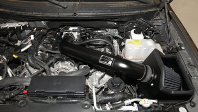 Performance Air Intake System <br> 2011-2012 Ford F-150