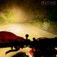 Quatro Hi/Low Plug N Play Kit <br>2024 KTM