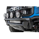 PRO Bolt-On Add-on Light Hoop<br> 17-20 Ford Raptor