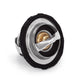 Low-Temperature Thermostat <br> 04-15 Nissan TITAN, TITAN XD