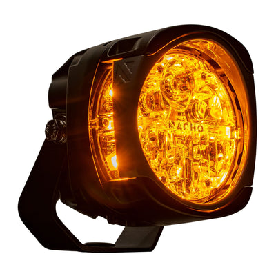 Quatro Supreme Adventure - Amber (Pair)