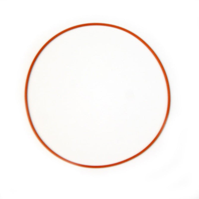 Replacement O-Ring Gasket <br> For Coyote Plate