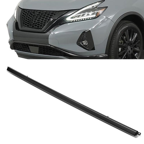 Front Bumper Cover Lower Molding Trim <br> 22-03 Nissan Murano