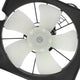 Radiator Cooling Fan w/ Shroud Replacement <br>23-25 Honda Accord 1.5L EX LX