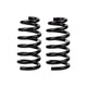 Rear Coil Spring Set <br> 01-07 Honda CR-V