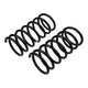 Rear Coil Spring Set