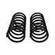 Rear Coil Spring Set